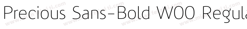 Precious Sans-Bold W00 Regular字体转换